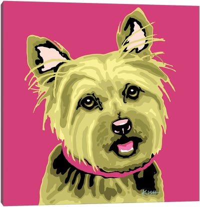 Yorkie Pink Woofhol Canvas Art Print - Yorkshire Terrier Art