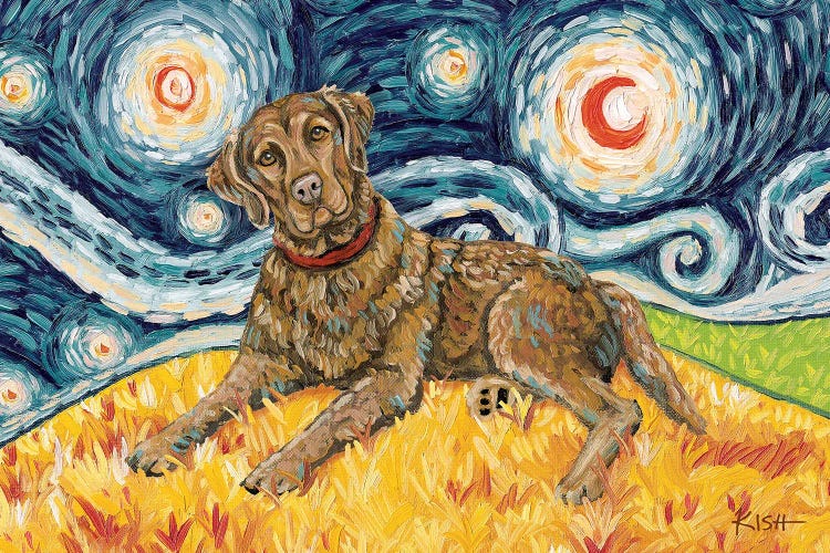 Chesapeake Bay Retriever On A Starry Night