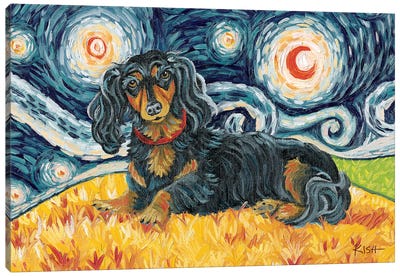 Dachshund On A Starry Night Long Haired Black & Tan Canvas Art Print - Dachshund Art