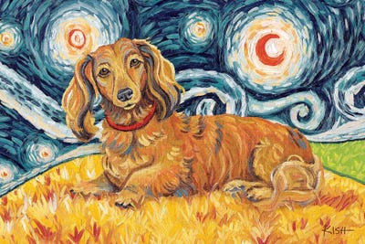 Long Haired Dachshund On A Starry Night by Gretchen KISH Serrano metal wall art