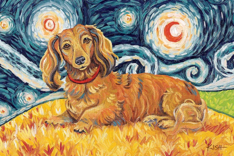 Dachshund On A Starry Night Long Haired Red