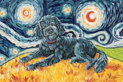 Doodle On A Starry Night Black by Gretchen KISH Serrano canvas print