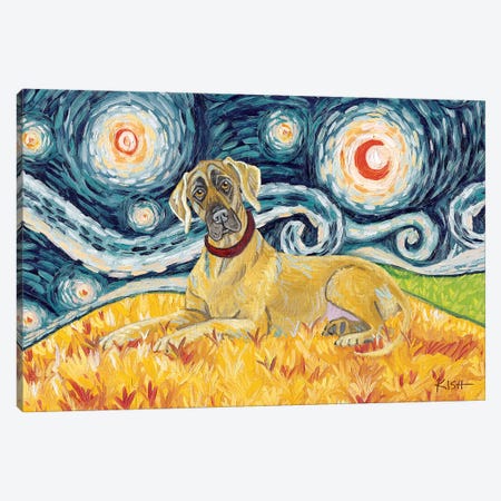 Great Dane On A Starry Night Uncropped Canvas Print #GKS66} by Gretchen Kish Serrano Canvas Art