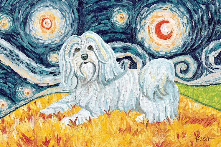 Havanese On A Starry Night