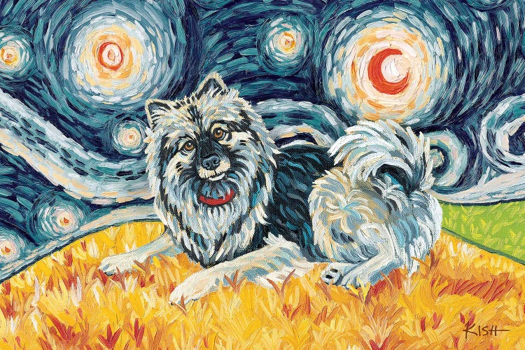 Keeshond On A Starry Night