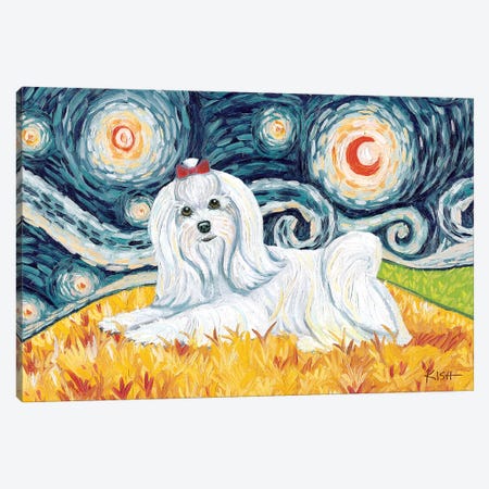 Maltese On A Starry Night Long Haired Canvas Print #GKS77} by Gretchen Kish Serrano Canvas Print