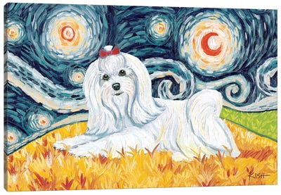 Maltese On A Starry Night Long Haired Canvas Art Print - Maltese