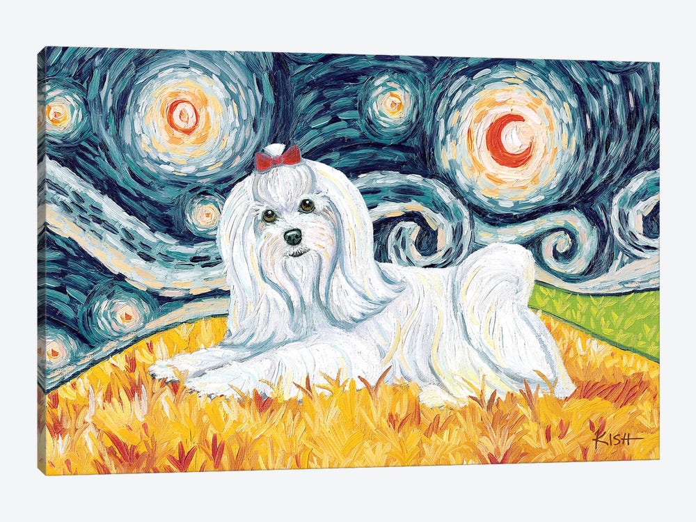 Maltese On A Starry Night Long Haired by Gretchen Kish Serrano 1-piece Canvas Art Print