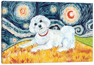 Maltese On A Starry Night Puppycut Canvas Art Print - Gretchen Kish Serrano