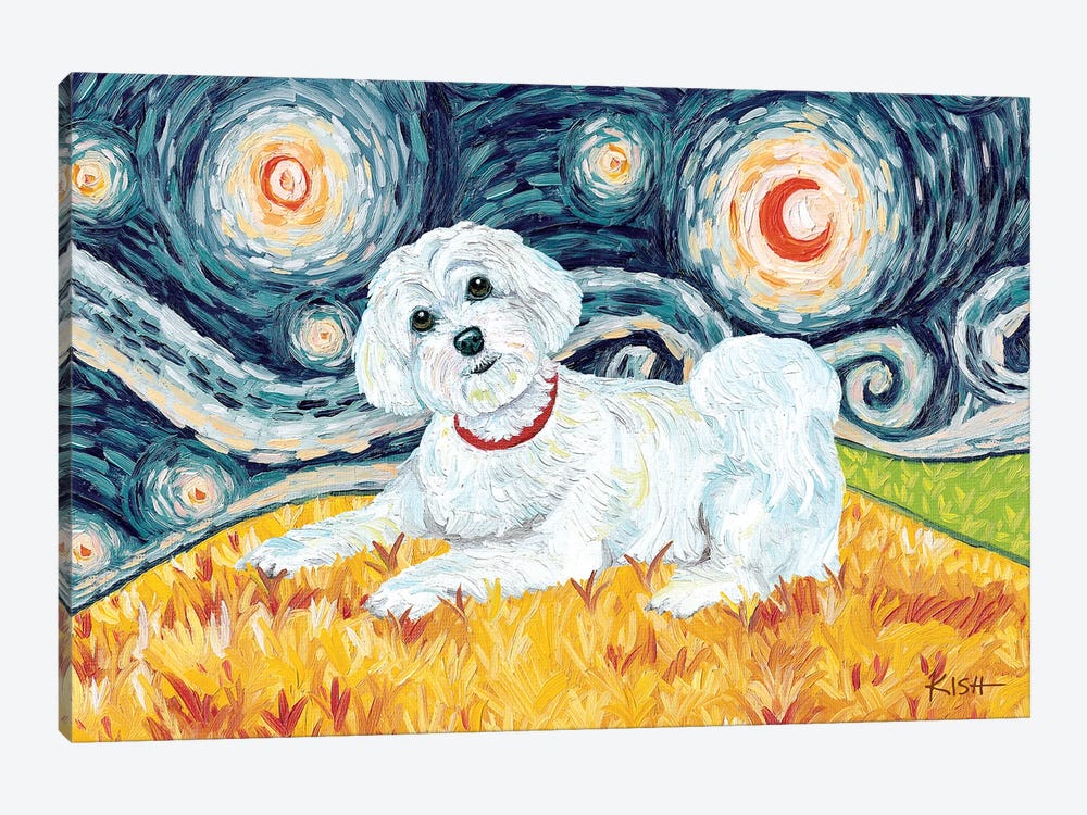 Maltese On A Starry Night Puppycut by Gretchen Kish Serrano 1-piece Canvas Art