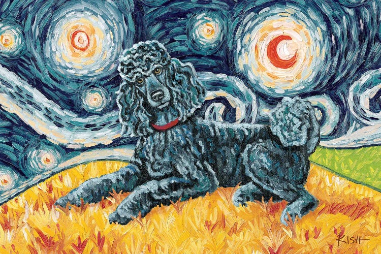 Standard Poodle On A Starry Night Black