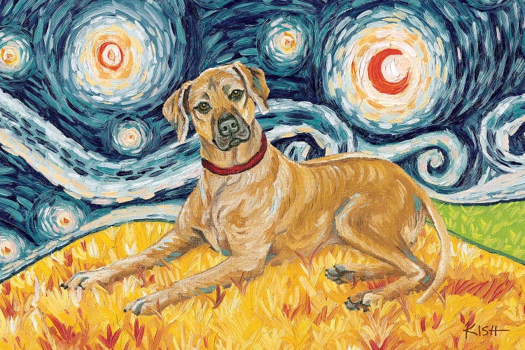 Rhodesian Ridgeback On A Starry Night