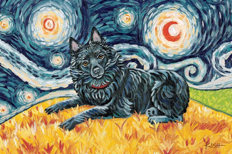 Schipperke On A Starry Night