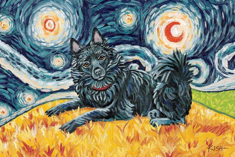 Schipperke On A Starry Night With A Tail