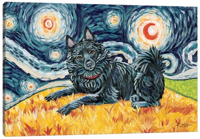 Schipperke On A Starry Night With A Tail Canvas Art Print