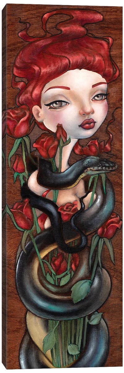 Beauty Inside Canvas Art Print - Snake Art