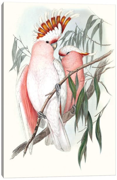 Pastel Parrots I Canvas Art Print