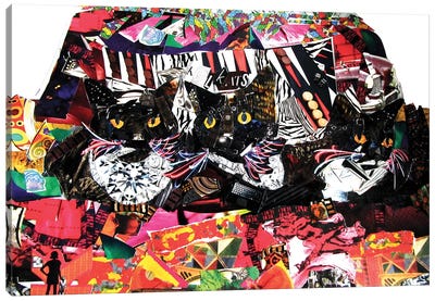 Cool Cats Canvas Art Print - Tuxedo Cat Art