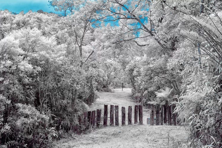 Nature I - Sao Paulo, Brazil