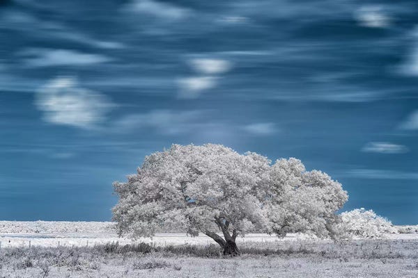 Glauco Meneghelli: Nice Blue Sky - Bahia, Brazil by Glauco Meneghelli