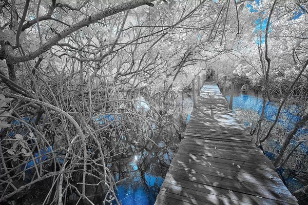 Boardwalk - Bahia, Brazil