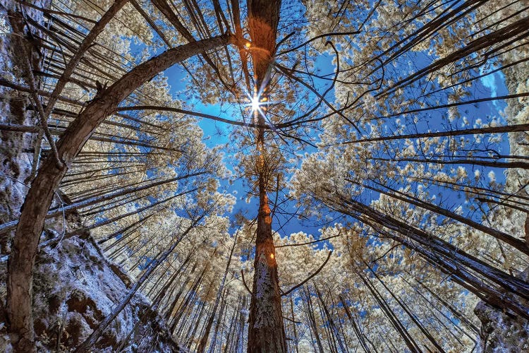 One Sun - Sao Paulo, Brazil