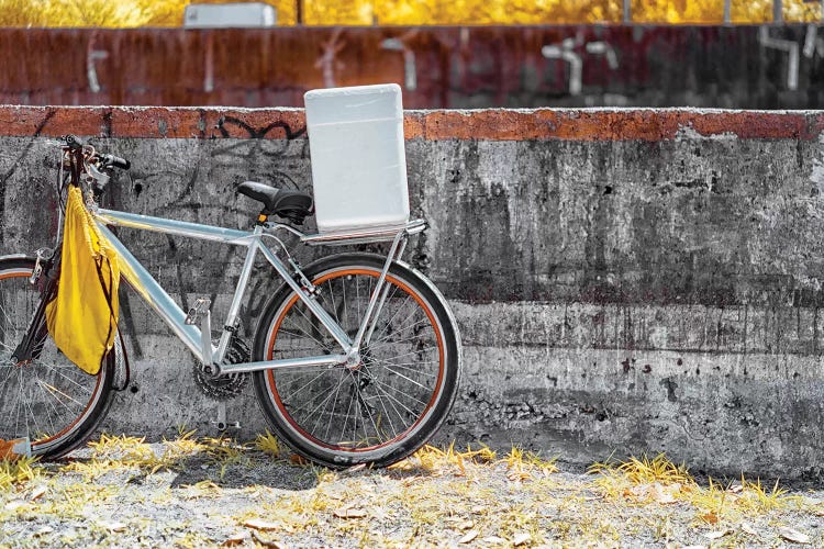 Bike - Sao Paulo, Brazil by Glauco Meneghelli wall art