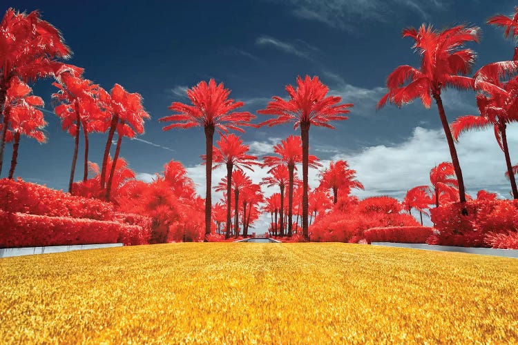 Red Palms - Miami, Florida