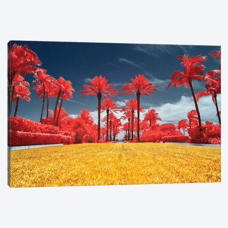 Red Palms - Miami, Florida Canvas Print #GLM130} by Glauco Meneghelli Canvas Print