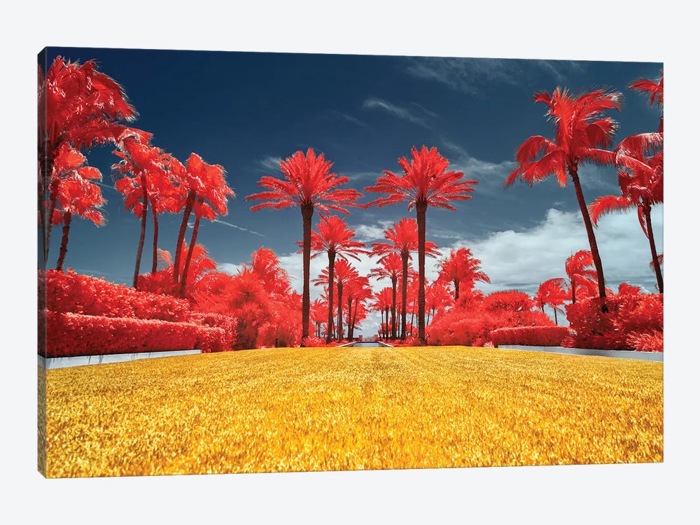 Red Palms - Miami, Florida by Glauco Meneghelli 1-piece Canvas Print