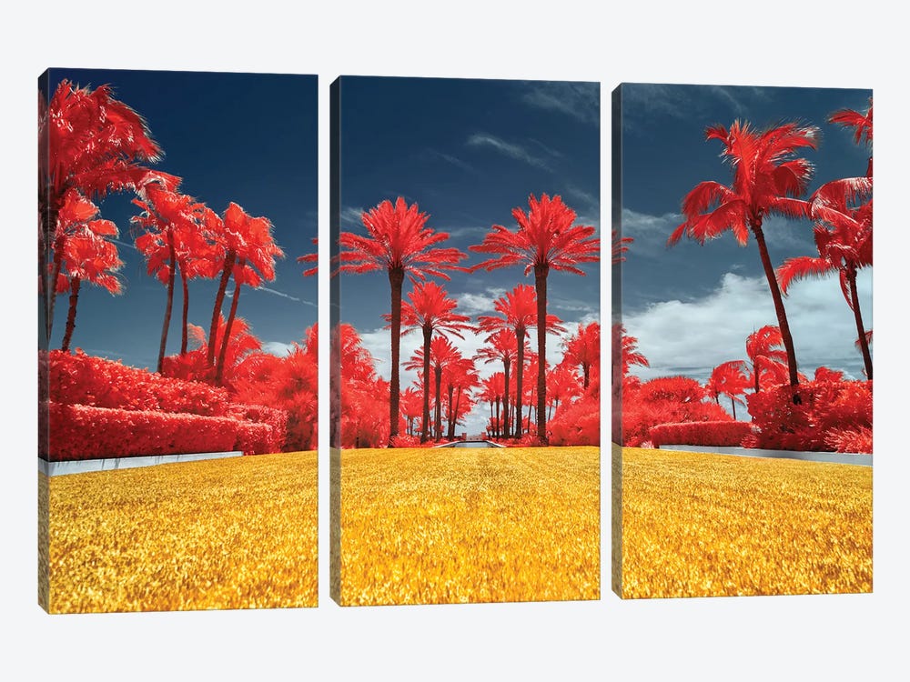 Red Palms - Miami, Florida by Glauco Meneghelli 3-piece Canvas Art Print