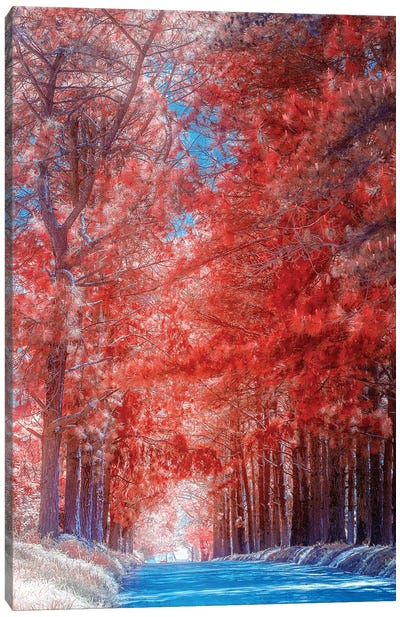 Red Path - Sao Paulo, Brazil Canvas Art Print - Glauco Meneghelli