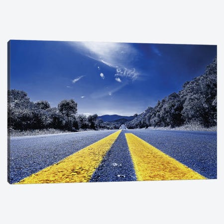 Road to Nowhere Canvas Print #GLM134} by Glauco Meneghelli Canvas Wall Art