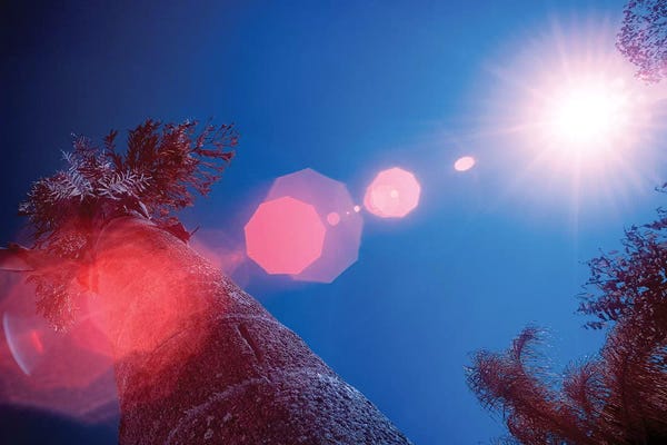 Brazil: Sunlight - Sao Paulo, Brazil by Glauco Meneghelli