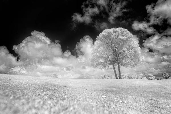 Glauco Meneghelli: Black Sky - Sao Paulo, Brazil by Glauco Meneghelli