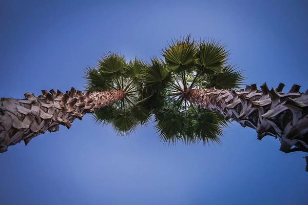 Glauco Meneghelli: Up by Glauco Meneghelli