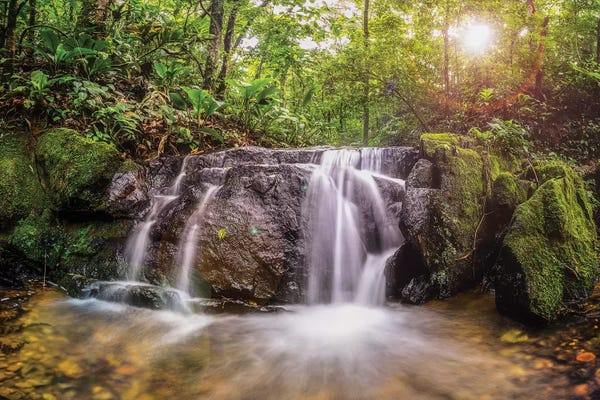 Brazil: Waterfall II - Sao Paulo, Brazil by Glauco Meneghelli