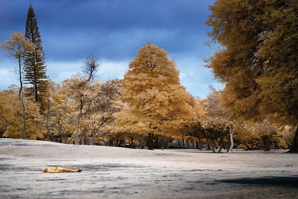 Glauco Meneghelli: Lay Down Man by Glauco Meneghelli