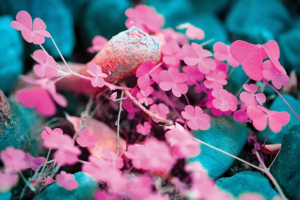 Glauco Meneghelli: Lucky by Glauco Meneghelli