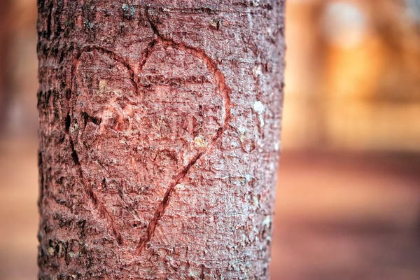 Glauco Meneghelli: Heart by Glauco Meneghelli