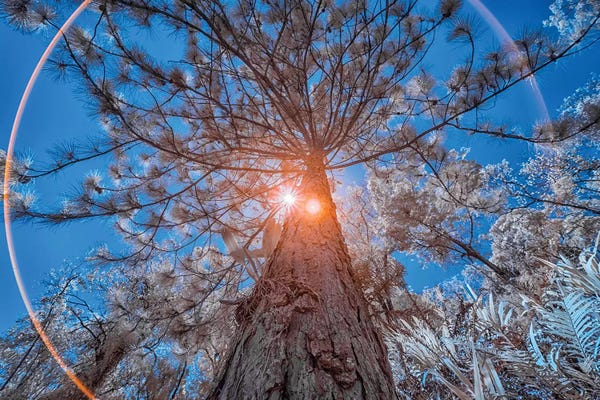 Glauco Meneghelli: Blue Sky - Sao Paulo, Brazil by Glauco Meneghelli