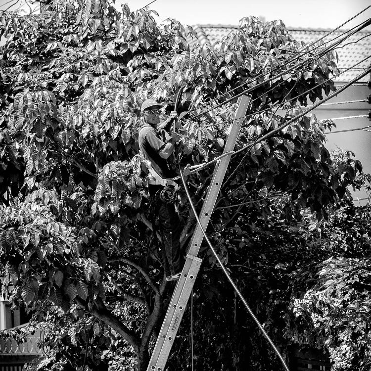 Street Photography IV by Glauco Meneghelli wall art