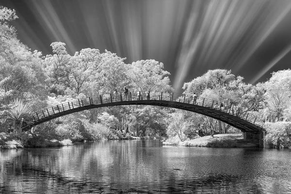 Glauco Meneghelli: Bridge Black & White  - Sao Paulo, Brazil by Glauco Meneghelli