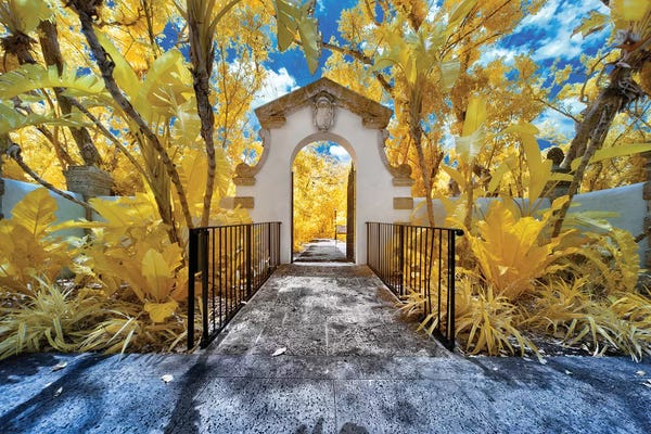 Glauco Meneghelli: Miami Infrared III by Glauco Meneghelli