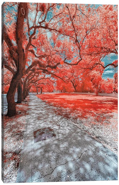 Miami Infrared IV Canvas Art Print - Miami Art