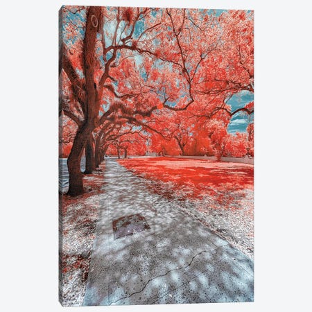 Miami Infrared IV Canvas Print #GLM258} by Glauco Meneghelli Canvas Artwork