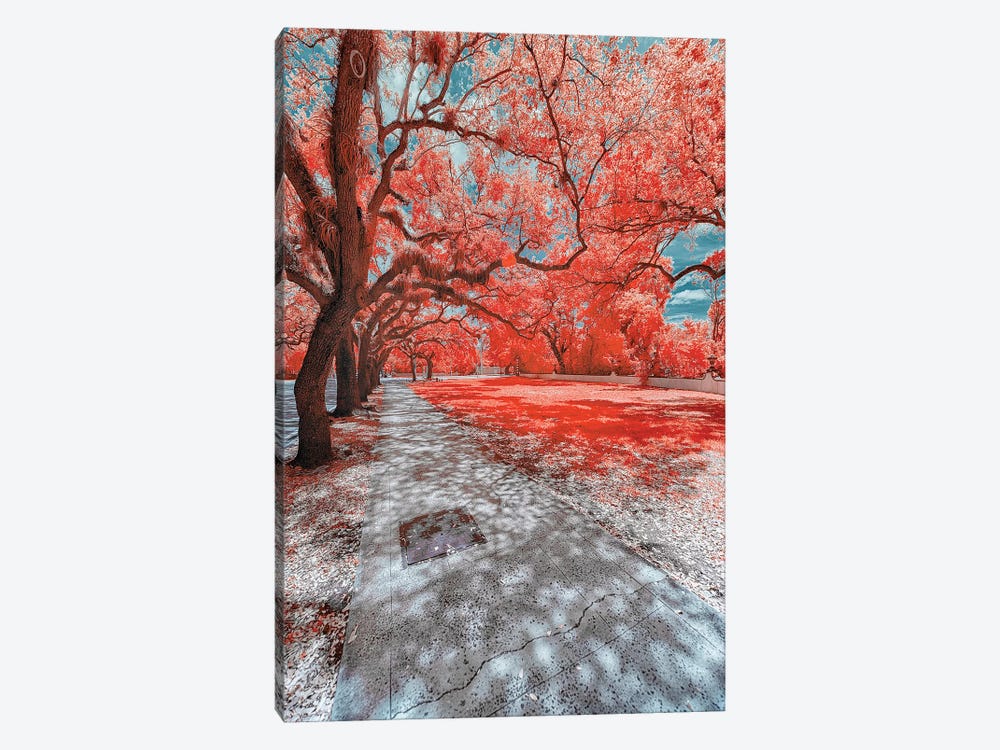 Miami Infrared IV by Glauco Meneghelli 1-piece Canvas Art Print