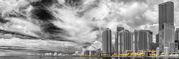 Miami: Miami Infrared V by Glauco Meneghelli