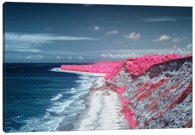 Costal Magenta Beach - Bahia, Brazil Canvas Art Print - Glauco Meneghelli