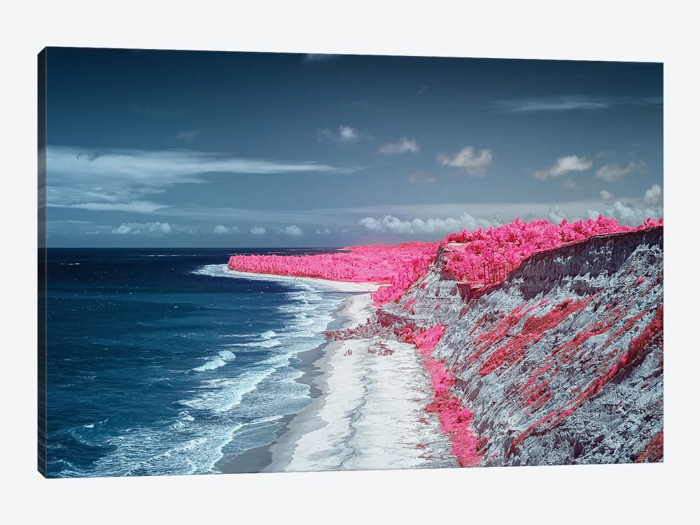 Costal Magenta Beach - Bahia, Brazil by Glauco Meneghelli 1-piece Canvas Artwork